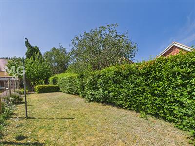 Picture 21